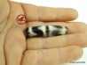 Antique and Powerful agate bead Dzi,  Tibetan DZI "Double Tiger Tooth",  high energy DZI bead,  Tibetan agate bead