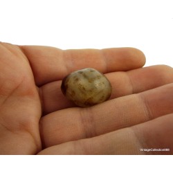 Antique Tibetan agate DZI bead "6 Eyes",  Rare and small Dzi Agate Bead,  Dzi Tibetan Beads,  Dzi for tibetan