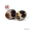 Two ancient,  very powerful and small Tibetan Dzi beads made of "Tiger Tooth" agate with very high energy