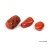 Lote 3x Coral rojo natural antiguo de 24,5 quilates - 4,9 g, piezas antiguas de coral rojo, natural sin tratar