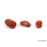 Lote 3x Coral rojo natural antiguo de 24,5 quilates - 4,9 g, piezas antiguas de coral rojo, natural sin tratar