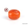 Old Large Red Coral Bead,  Natural Red Coral Barrel Bead,  4.63gr - 23.15ct Drilled Red Coral Bead